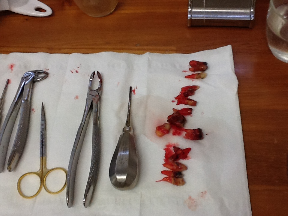 Ipad Marianne 231.JPG